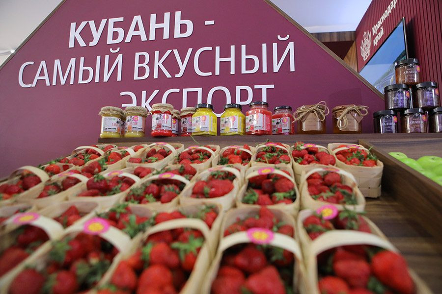 Stand for Krasnodar Region